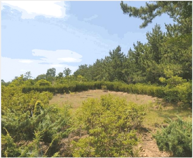 �Ӿ� 6-�žȱ� ������ �иŸ�-�Ӿ�