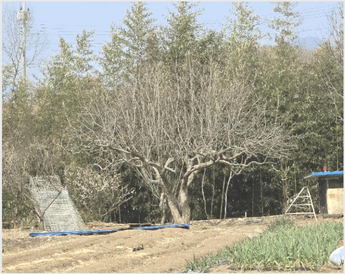 �ܵ����� 8-������ ������ ���긮-�ܵ�����