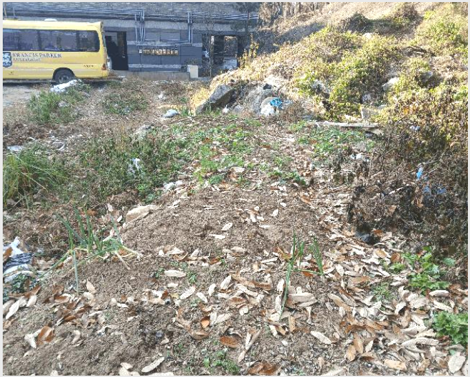 �� 9-���ֽ� �ϻ걸 ��ȭ�굿2��-��