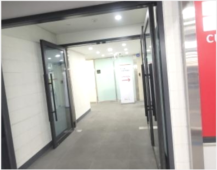 �ٸ��� 5-����� �ϻ굿�� ǳ��-�ٸ���