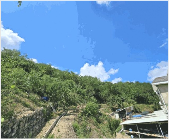 �Ӿ� 5-������ ȫ���� ��283-4-�Ӿ�