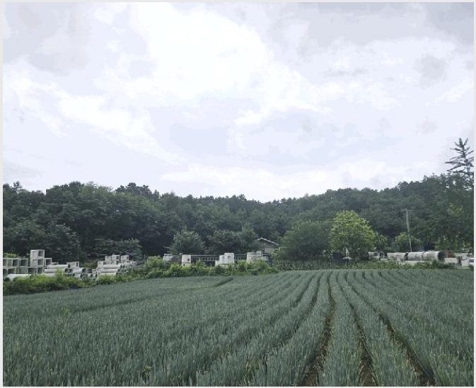 ������ 10-��õ�� �ſ��� 738-13-������