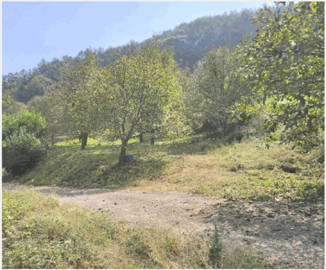 �� 7-�ܾ籺 ������ �ϸ�-��