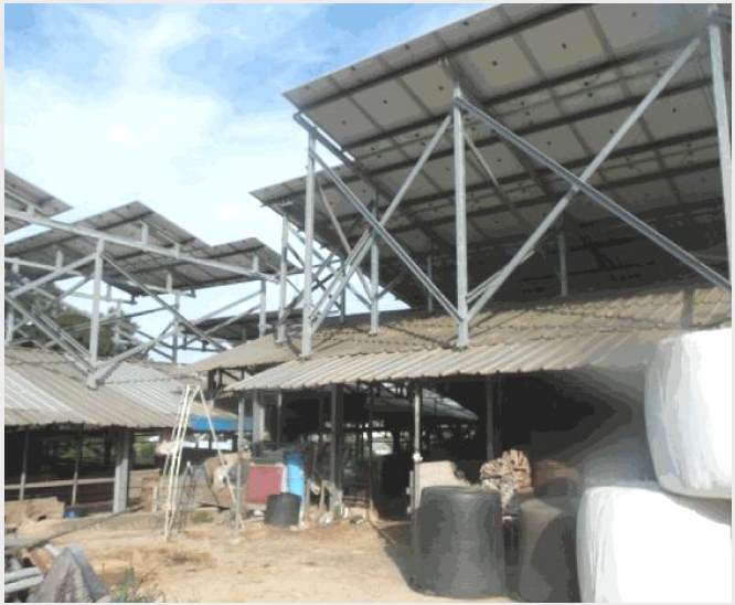 �� 5-�ο��� �ο��� ��â��-��