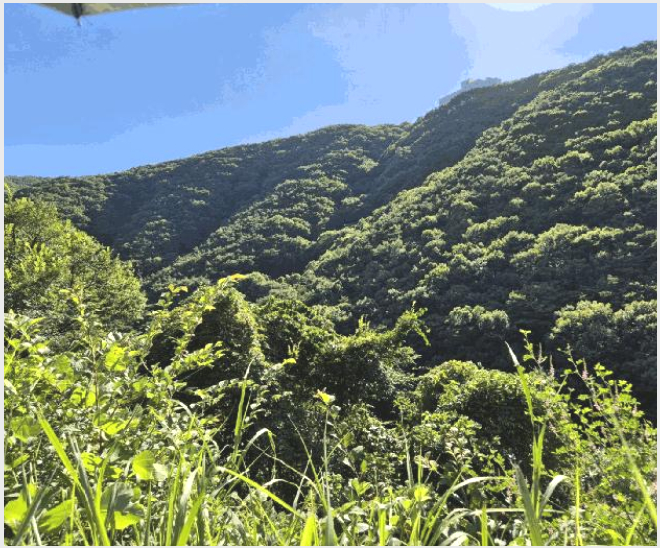 �Ӿ� 9-û���� ������ �ۿ���-�Ӿ�
