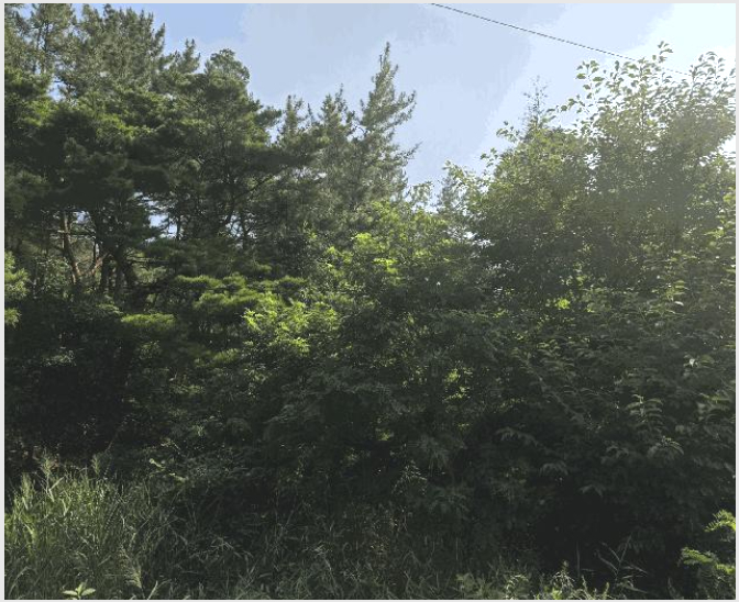 �Ӿ� 10-���׽� �ϱ� ������-�Ӿ�