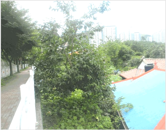 ���� 10-������ ���ֵ� 1268-����