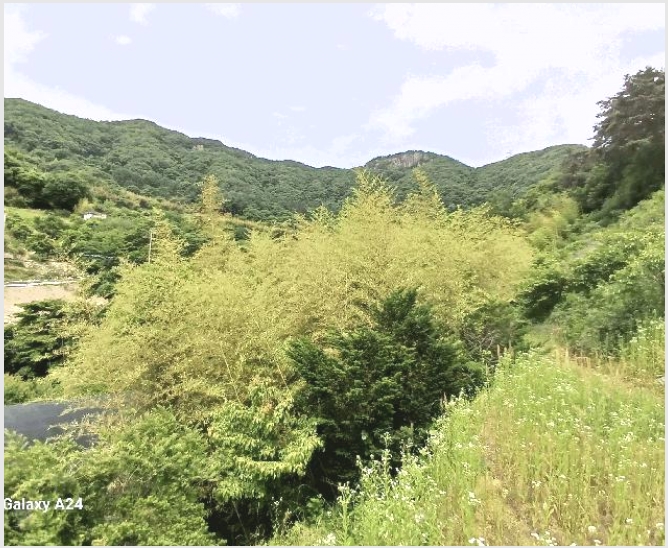 �� 7-��籺 ��� ��ġ��-��
