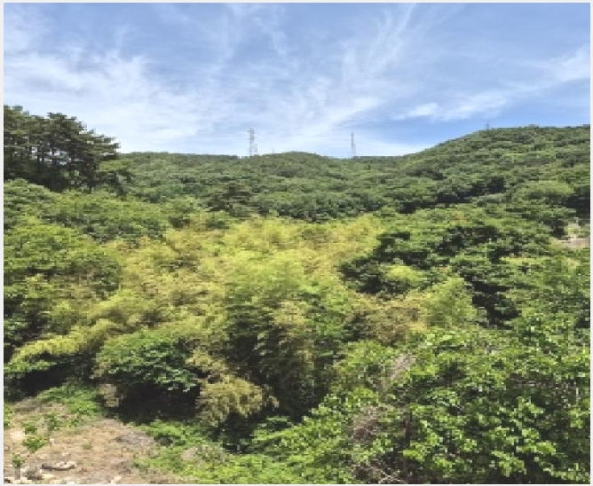 �� 6-��籺 ��� ��ġ��-��