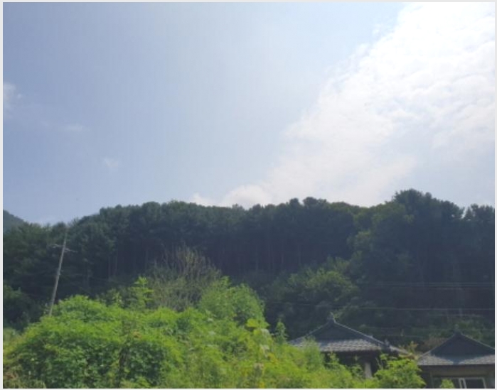 �Ӿ� 6-���� ������ ���ɸ�-�Ӿ�