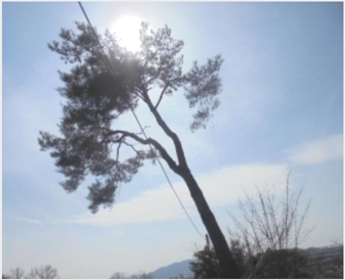 ���� 7-������ ����� ��츮-����