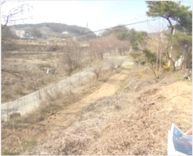 ���� 8-������ ����� ��츮-����