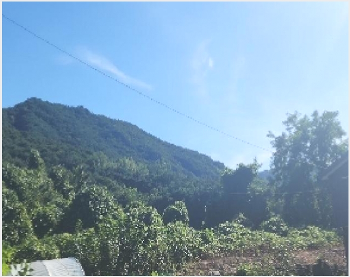 �� 6-������ ���� ���θ�-��
