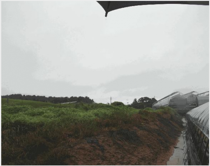 �� 10-����� ������ õ����-��
