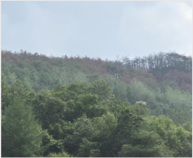 �� 9-���籺 �Ծϸ� ����-��