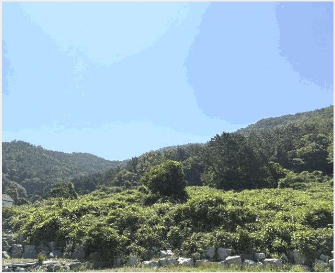 �� 6-���ر� ������ ������-��