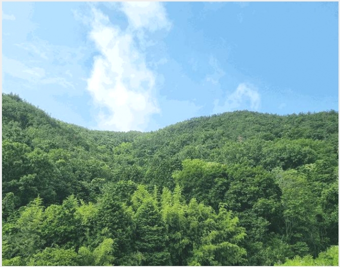 �Ӿ� 4-������ ���̸� �����-�Ӿ�