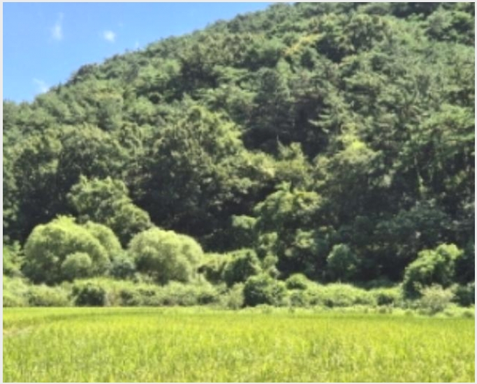 �� 7-���ֽ� ���굿 282-1-��