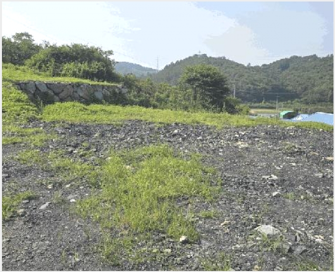 ������ 9-���ֽ� ������ �λ긮-������