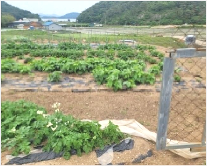 �� 10-�뿵�� ����� ������-��