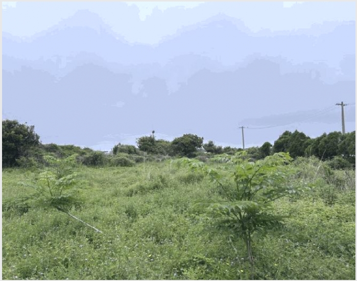 ������ 4-���ֽ� �Ѱ�� û����-������