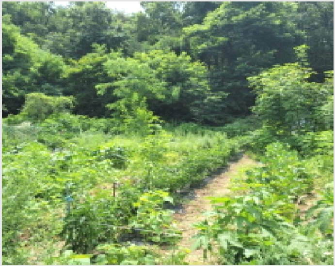 �� 9-����� ���籸 ȿ�ڵ�-��