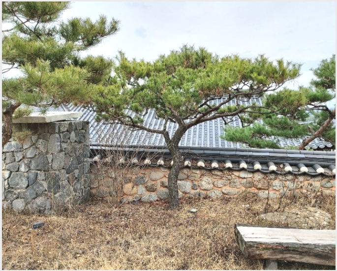 ������ 6-����� �ϻ굿�� �縮����-������