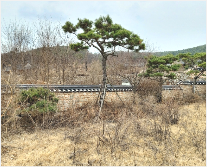 ������ 10-����� �ϻ굿�� �縮����-������