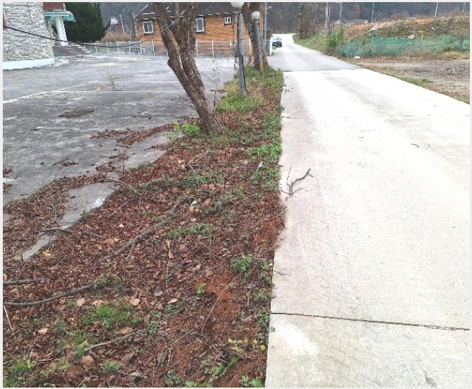 ȣ�ڸ��� 5-������ ������ �꼺�츮-ȣ�ڸ���