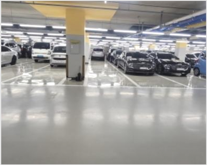 �� 5-����� �ϻ굿�� ǳ��-��