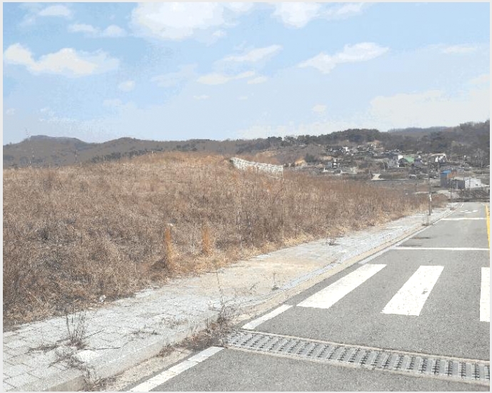 ���� 8-�屺�� �뱳�� 370-46-����