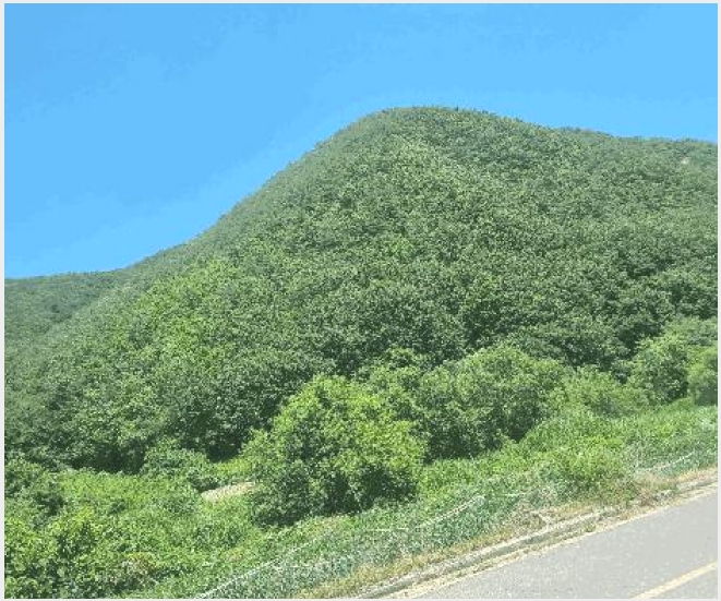 �Ӿ� 6-���׽� �ϱ� �����-�Ӿ�