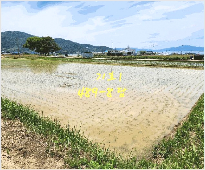 �� 10-��õ�� ��浿 671-2-��