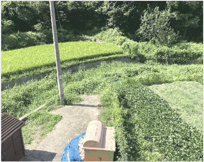 �� 8-â���� ����ȸ���� ������-��