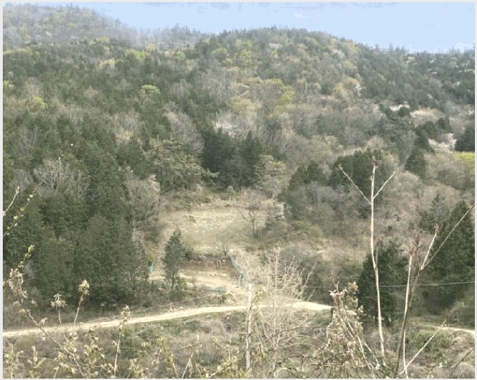 �� 6-ȭ���� �̾�� �ʹ渮-��