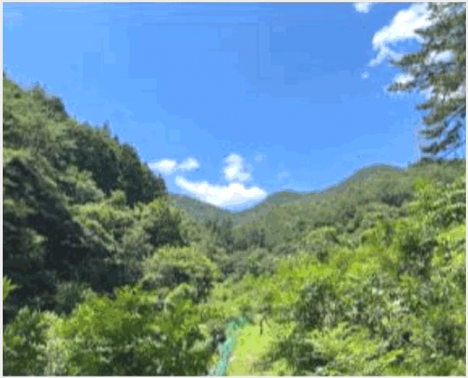 �Ӿ� 4-��õ�� ���� �Ǳ���-�Ӿ�