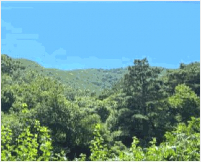 �Ӿ� 7-��õ�� ���� �Ǳ���-�Ӿ�