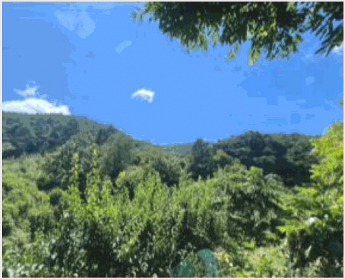 �Ӿ� 5-��õ�� ���� �Ǳ���-�Ӿ�