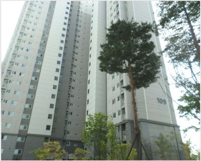 ����Ʈ 9-���̽� �굿�� �δ���-����Ʈ