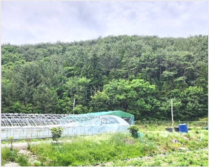 �� 10-�뿵�� �ѻ�� ��ȣ��-��