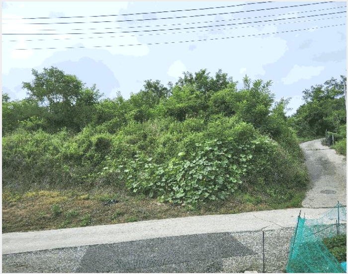 �Ӿ� 5-���̽� �굿�� ���-�Ӿ�