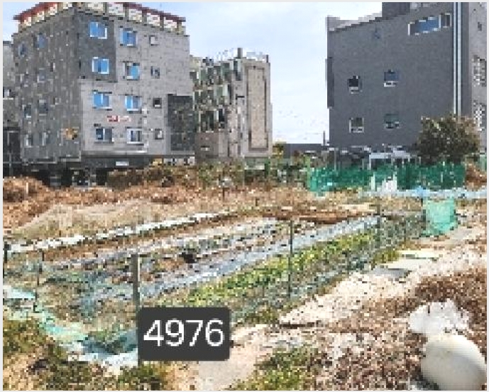 ���� 5-���屺 �ϱ��� ��õ��-����