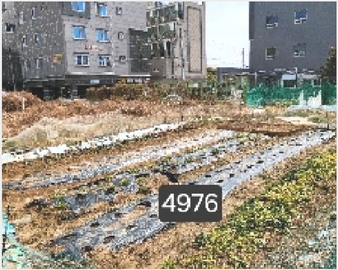���� 4-���屺 �ϱ��� ��õ��-����