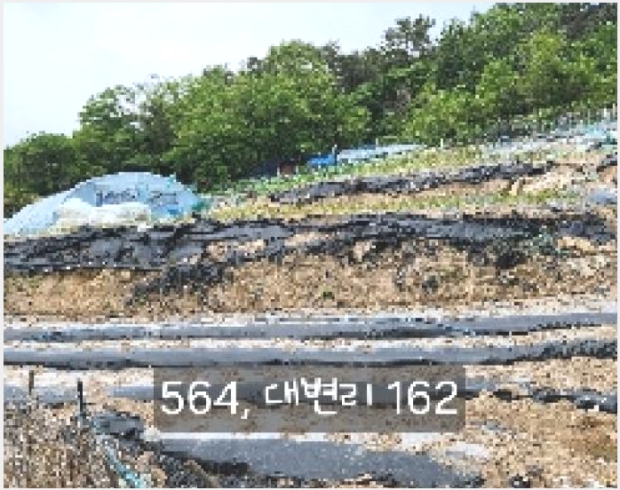 �� 7-���屺 ������ �뺯��-��