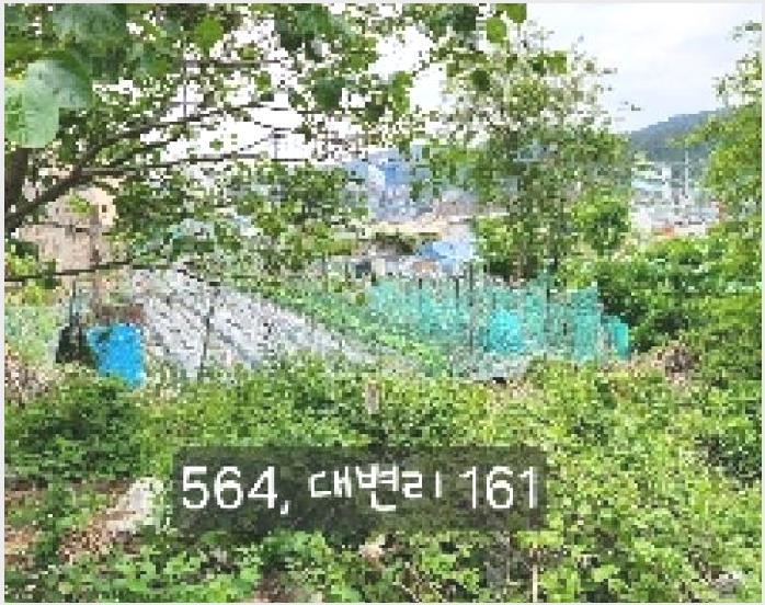 �� 4-���屺 ������ �뺯��-��