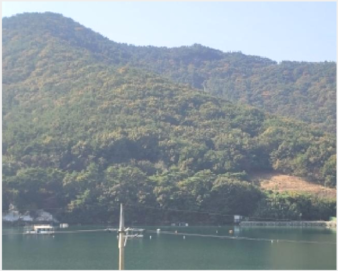 �Ӿ� 6-�뿵�� ����� ���۸�-�Ӿ�