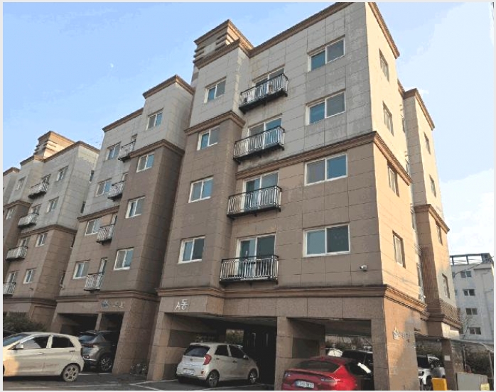 �ټ���(����) 8-�Ծȱ� ������ ���긮-�ټ���(����)