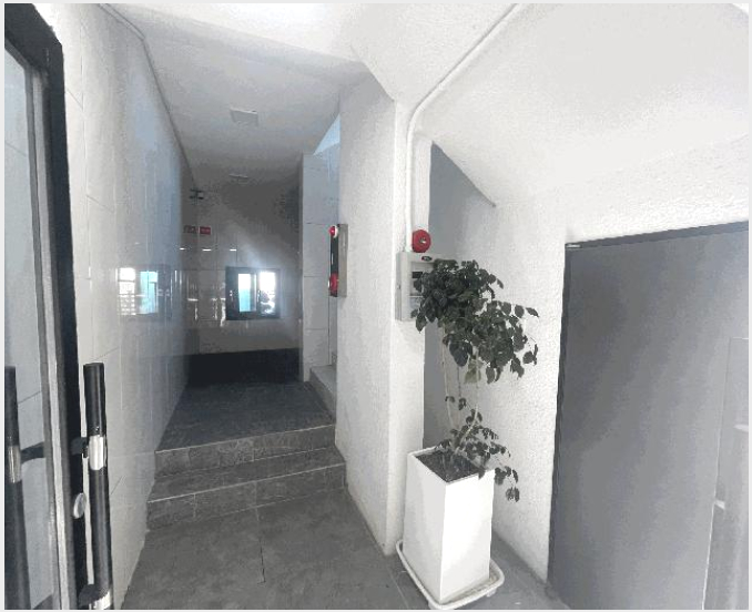 �ٰ������� 5-���ֽ� ������ ������-�ٰ�������
