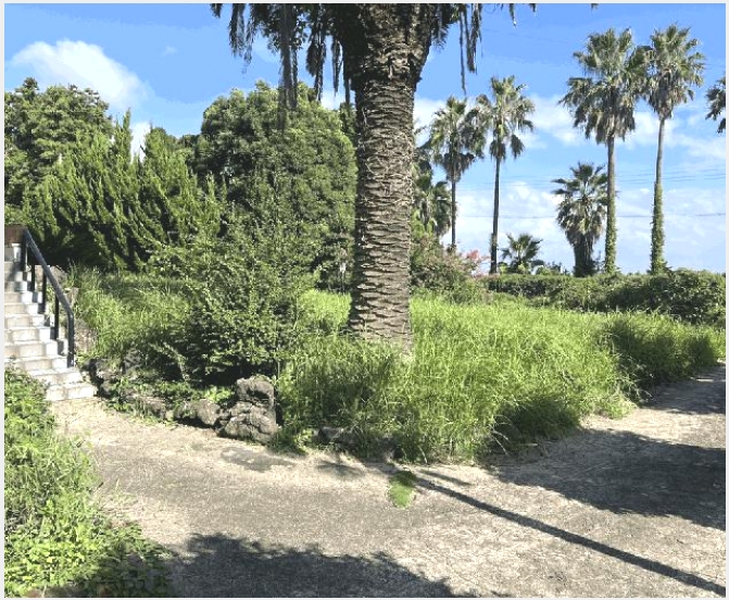 ���� 6-�������� ��ȯ�� 604-����