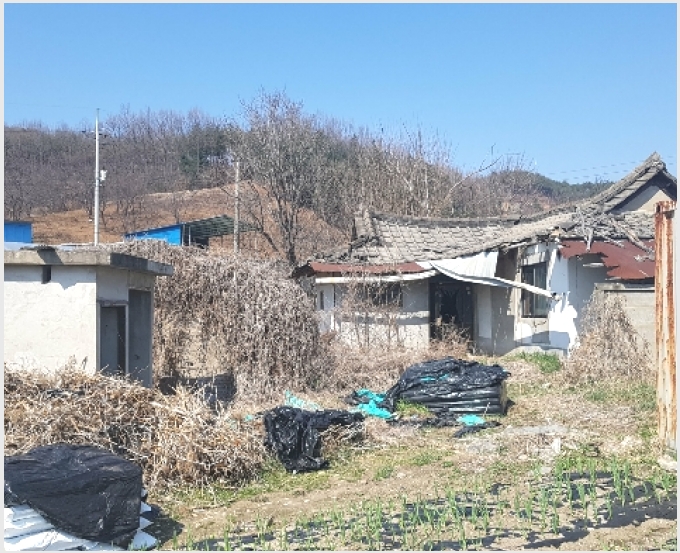 �� 10-û�籺 ���� �̷���-��